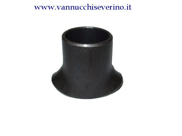 Innesto
